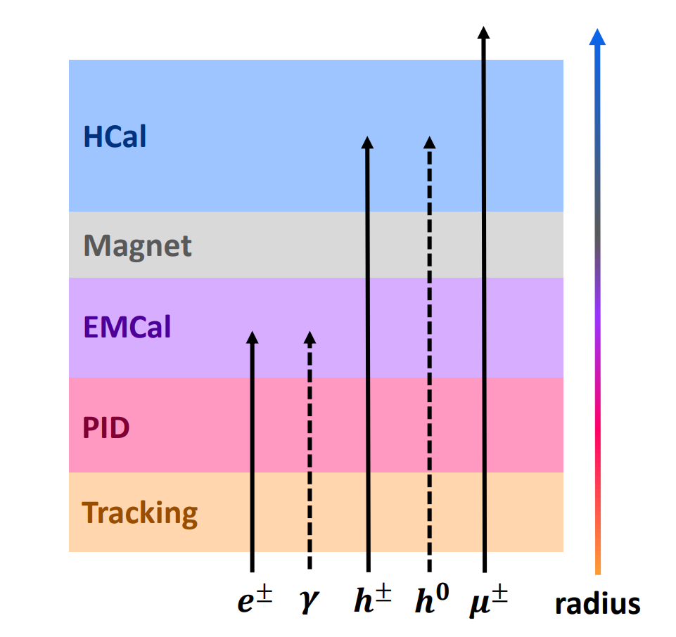 Different particle species penetrating to different depths of the detector